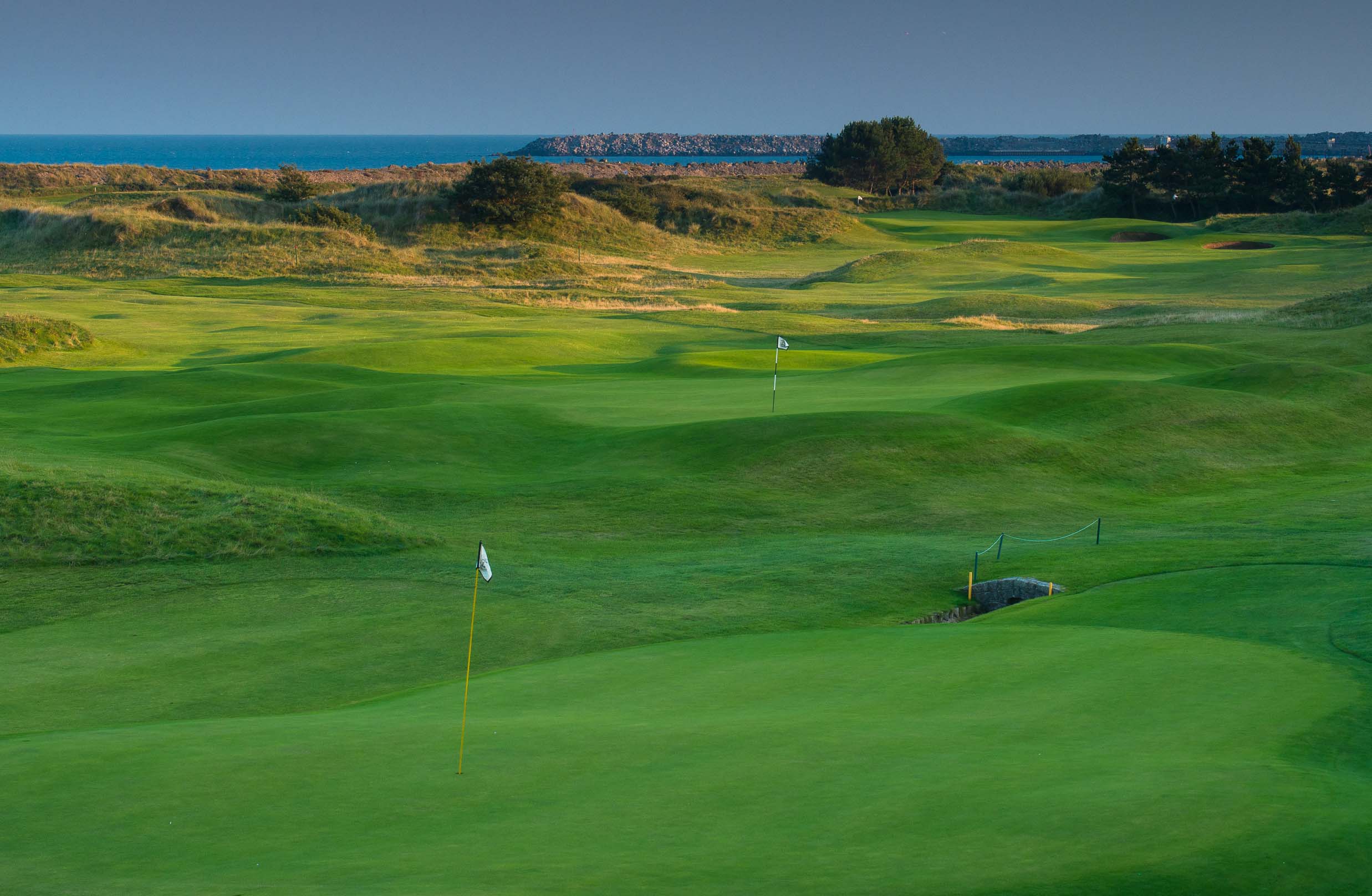 Read more about the article Arklow Golf Club